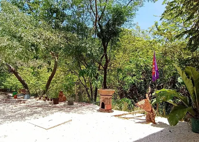Laurel Jungle & Ocean