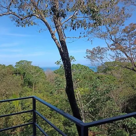 Laurel Jungle & Ocean Villa Playa Santa Teresa  Exterior photo