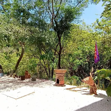 Laurel Jungle & Ocean Villa Playa Santa Teresa  Exterior photo