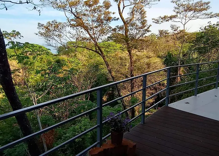 Laurel Jungle & Ocean